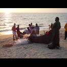 Am Strand von Cherai